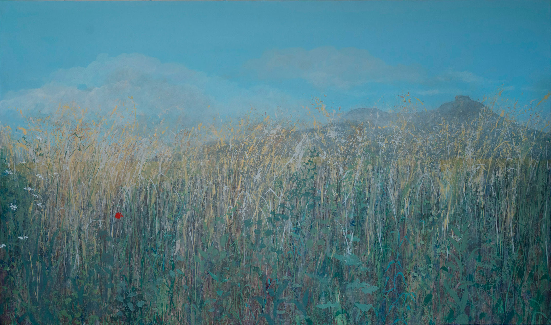 Field for Isabel - oil on canvas - 115x195cm. Alicia Marsans